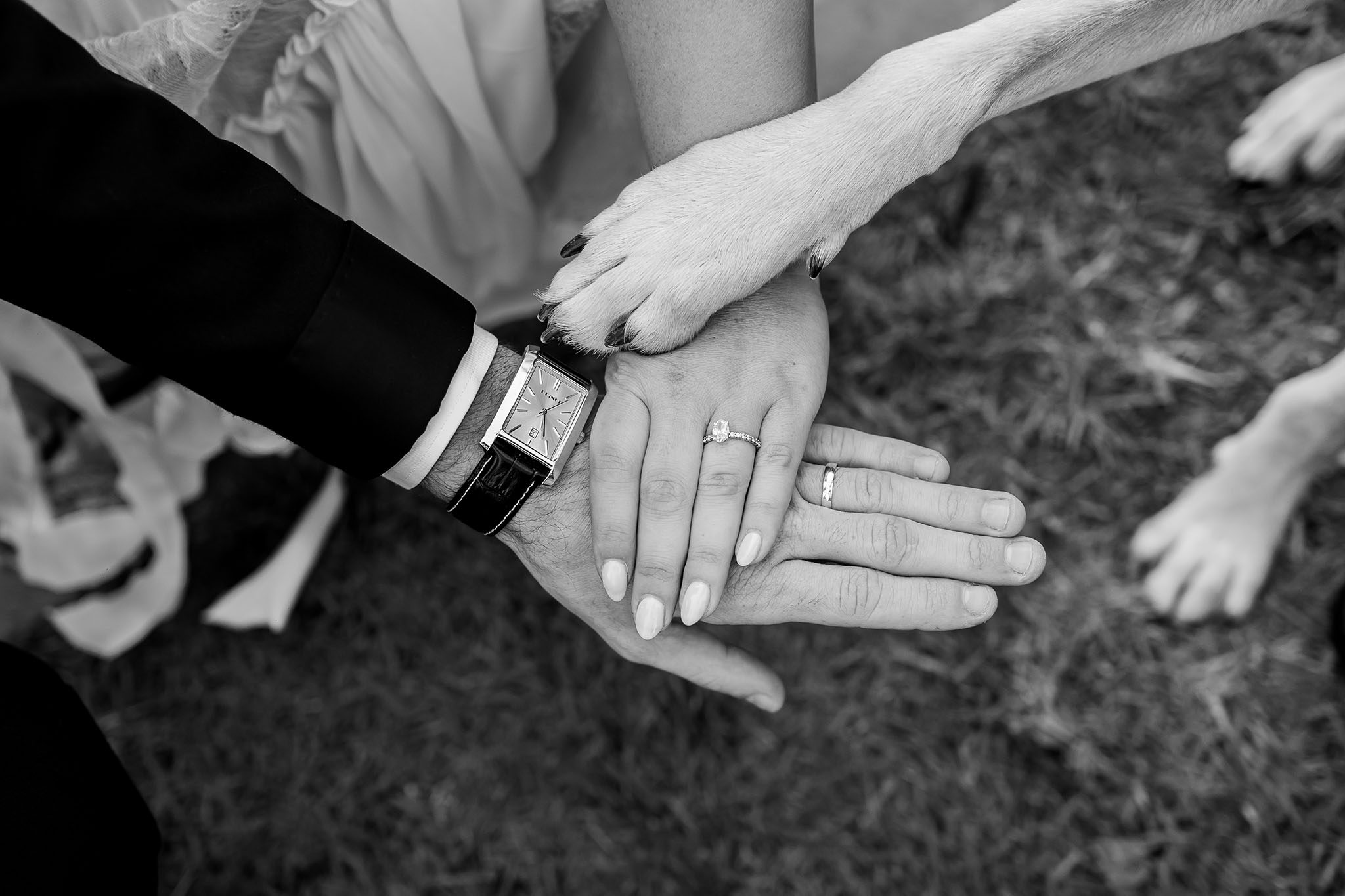 A close-up, black and white overhead shot captures a tender moment of connection between a couple and their pet. A man's hand, wearing a rectangular wristwatch with a dark leather strap, is palm up. On top of it rests a woman's hand, palm down, adorned with an oval-cut diamond engagement ring and a plain wedding band on her ring finger, with light-colored manicured nails. Gently resting on the woman's hand is a light-furred dog's paw with dark claws. The background is a soft blur of grass, indicating an outdoor setting, symbolizing love, commitment, and family.