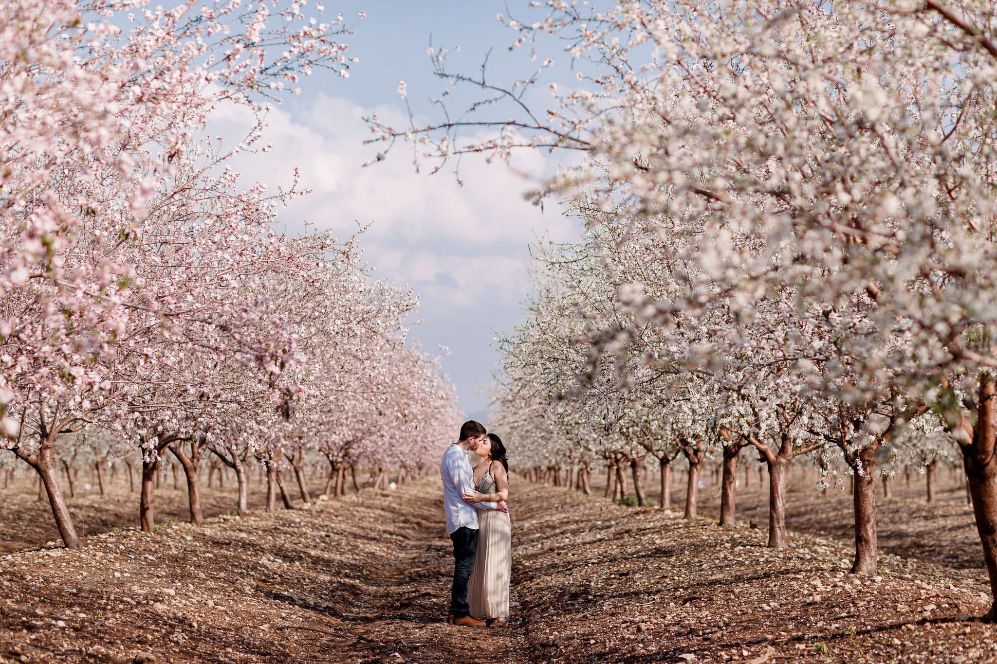 A romantic couple embraces affectionately in the middle of a picturesque blossoming almond orchard. The man, dressed in a light blue long-sleeved shirt and dark pants, gently kisses the woman, who is wearing a flowing, light beige or champagne-colored dress with a sparkling bodice. They stand on a textured earthy path, surrounded by symmetrical rows of trees covered in delicate pink and white blossoms. A soft, clear sky with hints of clouds is visible above, creating a serene and intimate spring atmosphere.