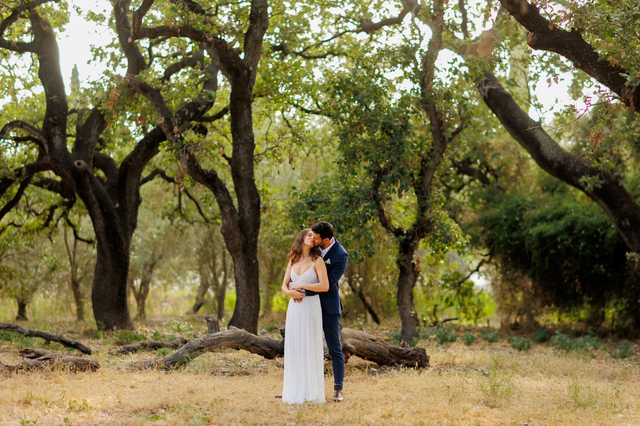 A romantic couple embracing and kissing intimately in a sun-dappled woodland setting. The woman, wearing a shimmering white sleeveless gown, is held by the man in a dark navy suit. They stand on golden, dry grass with scattered branches, surrounded by a grove of mature trees with lush green foliage, illuminated by a warm, soft light filtering through the canopy.